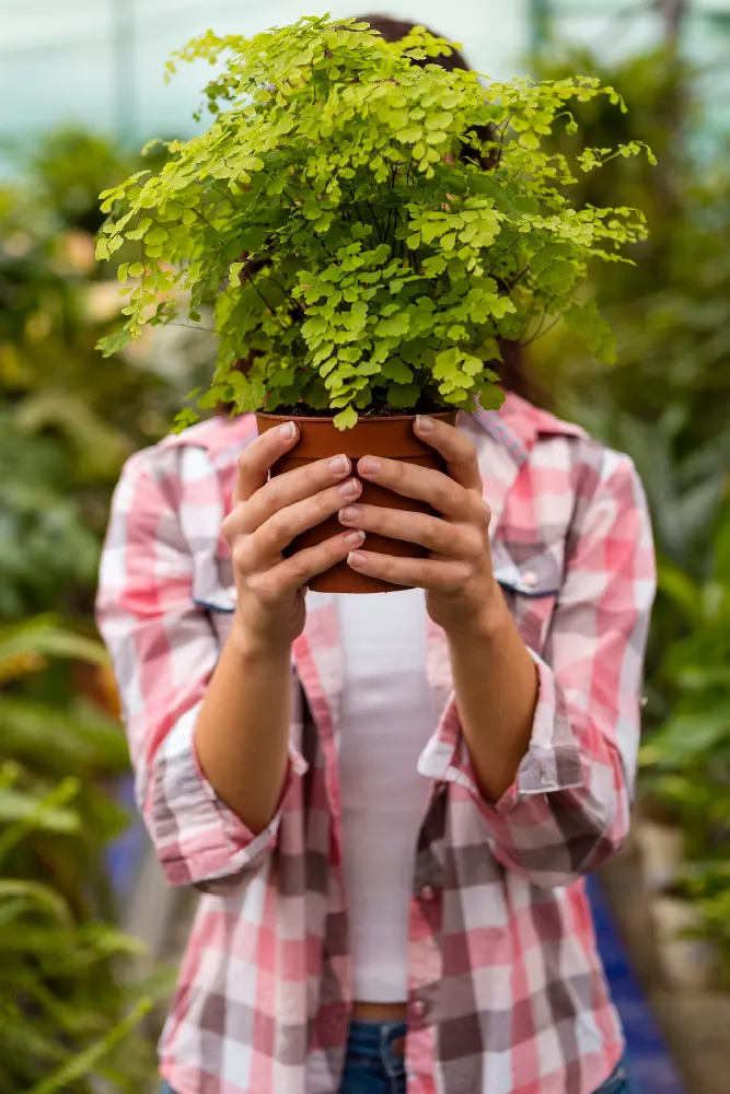 Agriculture Research2