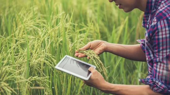 Agriculture Transformation India