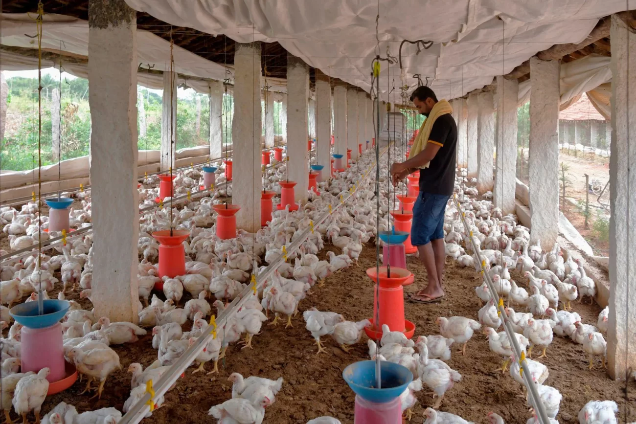 India Economy Farming