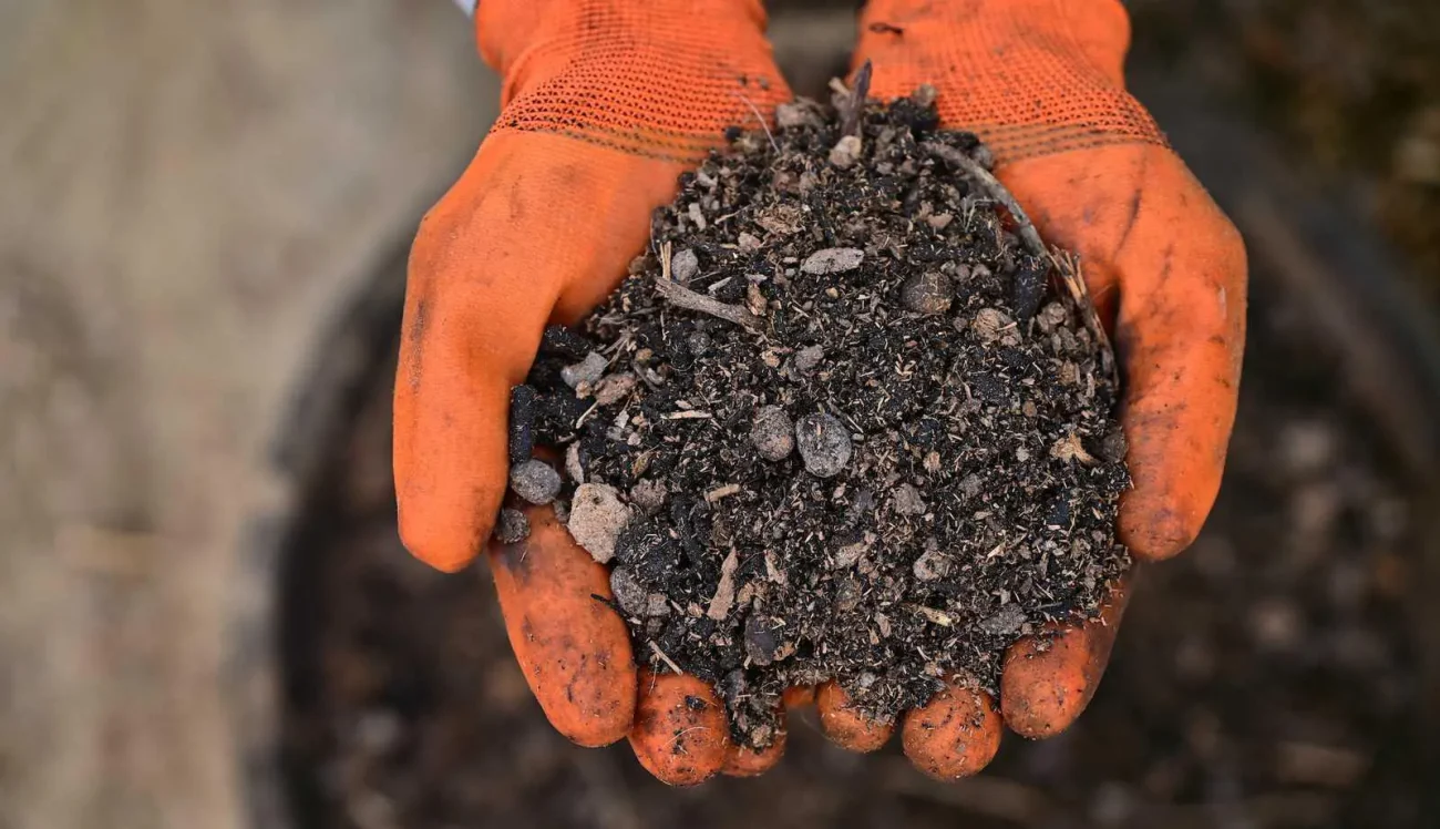 Carbon Credits: A New Income Revolution for Indian Farmers