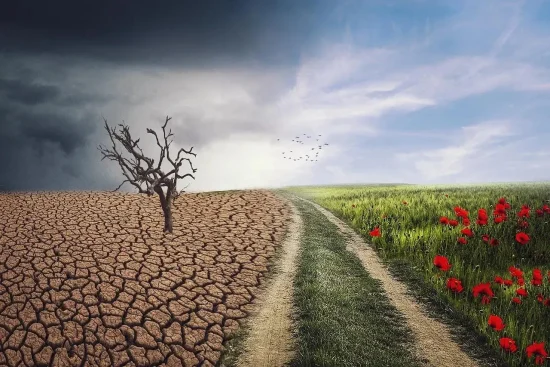 Mission For Sustainable Agriculture And India’s Climate Goals
