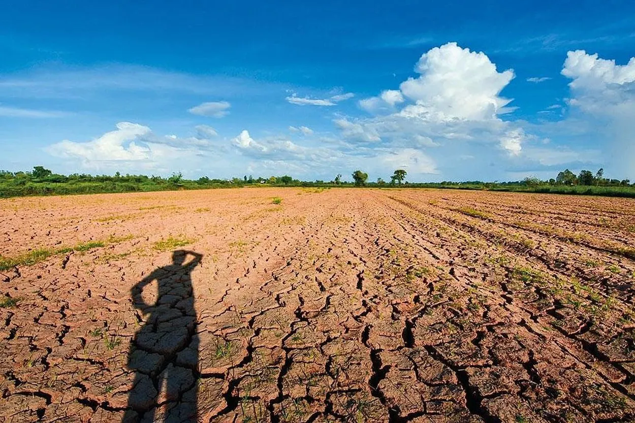 Irrigation water and Rabi crops