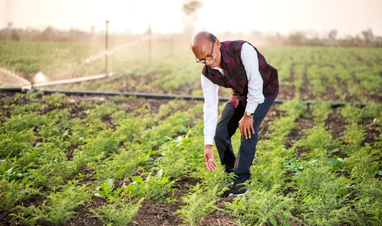 Crop diversification in water-stressed districts