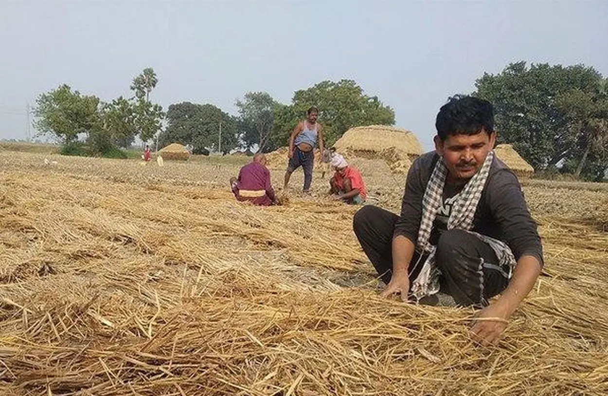 Soil-moisture conservation and mulching